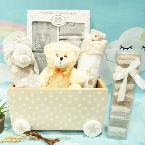 Baby Bundle Of Joy