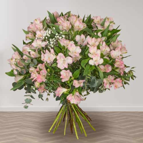 Pink Alstroemerias