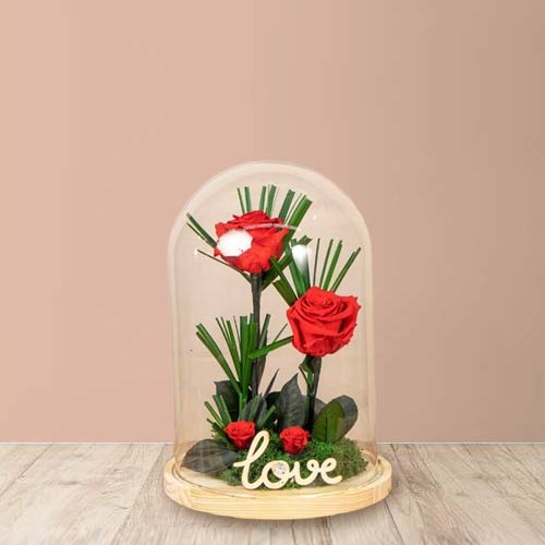 Preserved Red Roses