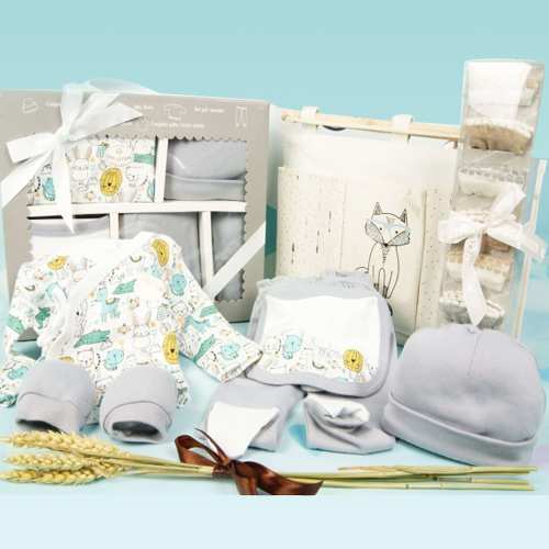 Organizer Pack
