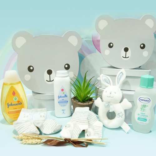 Boy Teddy Bear Boxes