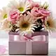 Women's Day Gifts